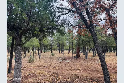 2793 Hummingbird Circle #159, Happy Jack, AZ 86024 - Photo 5