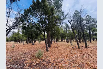 2793 Hummingbird Circle #159, Happy Jack, AZ 86024 - Photo 7