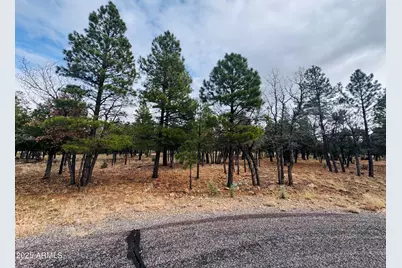 2793 Hummingbird Circle #159, Happy Jack, AZ 86024 - Photo 11