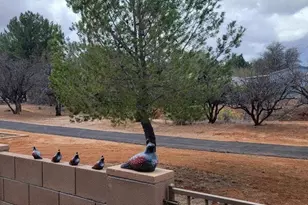 334 S Sky Ranch Rd, Sierra Vista, AZ 85635 - Photo 33