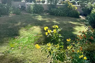 11515 N 91st St, Scottsdale, AZ 85260 - Photo 19