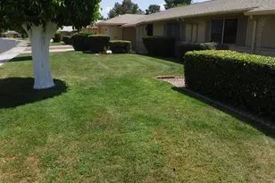 11029 W Caron Dr, Sun City, AZ 85351 - Photo 33