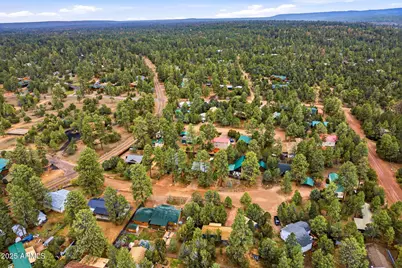 1979 Christmas Pine Circle, Overgaard, AZ 85933 - Photo 31