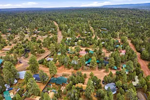 1979 Christmas Pine Circle, Overgaard, AZ 85933 - Photo 31