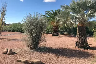 23275 W Los Huesos Way, Congress, AZ 85332 - Photo 3