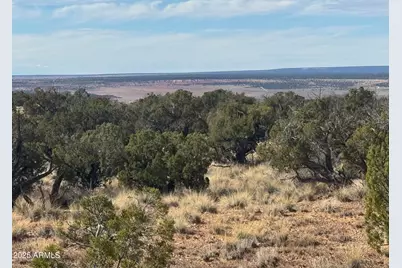 Lot 62 Sierra Highlands Ranch -- #62, Saint Johns, AZ 85936 - Photo 5