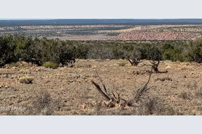 Lot 62 Sierra Highlands Ranch -- #62, Saint Johns, AZ 85936 - Photo 7