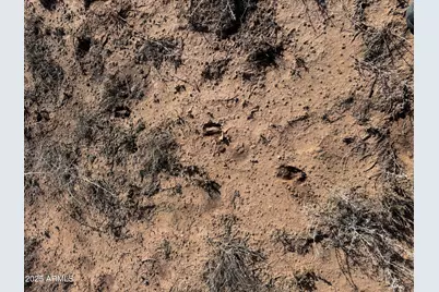 Lot 62 Sierra Highlands Ranch -- #62, Saint Johns, AZ 85936 - Photo 15