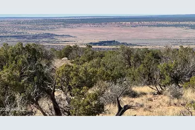 Lot 62 Sierra Highlands Ranch -- #62, Saint Johns, AZ 85936 - Photo 1