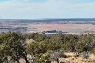 Lot 62 Sierra Highlands Ranch --, Saint Johns, AZ 85936 - Photo 1