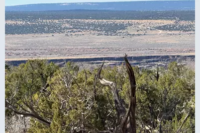 Lot 62 Sierra Highlands Ranch -- #62, Saint Johns, AZ 85936 - Photo 3