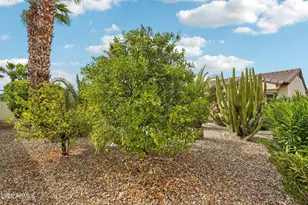 19559 N Wasson Peak Dr, Surprise, AZ 85387 - Photo 29