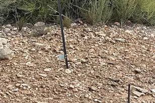 4750 E Crazy Horse Circle, Rimrock, AZ 86335 - Photo 7