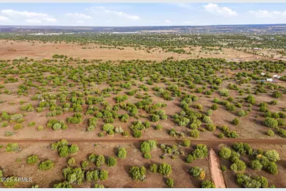 Tbd Silver Lake Blvd 16.32 Acres -- #L & N, Show Low, AZ 85901 - Photo 9