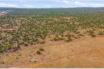 Tbd Silver Lake Blvd 16.32 Acres -- #L & N, Show Low, AZ 85901 - Photo 5