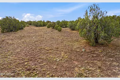 Tbd Silver Lake Blvd 16.32 Acres -- #L & N, Show Low, AZ 85901 - Photo 17