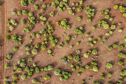 Tbd Silver Lake Blvd 16.32 Acres -- #L & N, Show Low, AZ 85901 - Photo 11