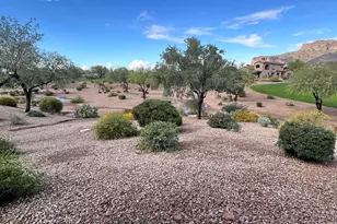 7460 E Golden Eagle Cir, Gold Canyon, AZ 85118 - Photo 9