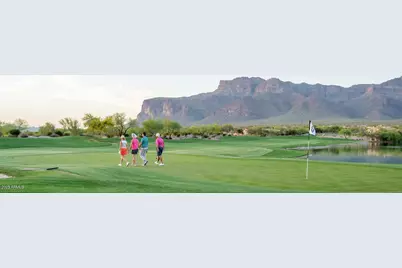 7460 E Golden Eagle Circle, Gold Canyon, AZ 85118 - Photo 13