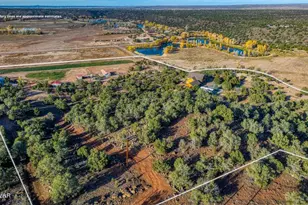 2225 State Route 77 --, Show Low, AZ 85901 - Photo 53