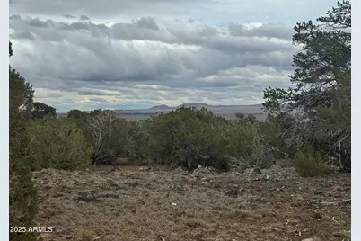 24 Acr 8051 -- #2355, Concho, AZ 85924 - Photo 3