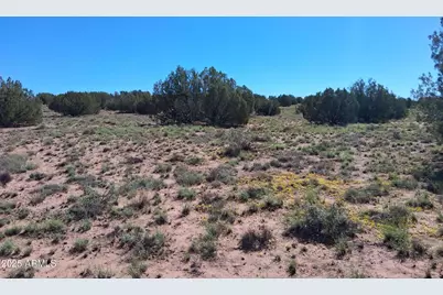 236 County Rd N9226 -- #-, Concho, AZ 85924 - Photo 7