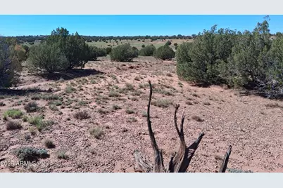 236 County Rd N9226 -- #-, Concho, AZ 85924 - Photo 11