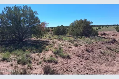 236 County Rd N9226 -- #-, Concho, AZ 85924 - Photo 5