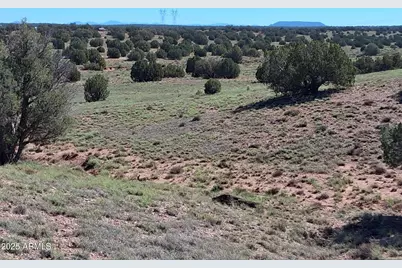 236 County Rd N9226 -- #-, Concho, AZ 85924 - Photo 15