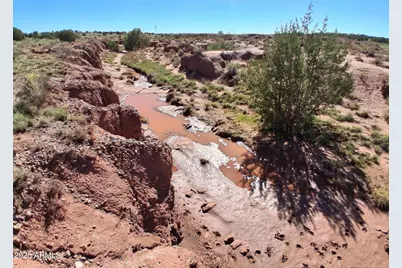 236 County Rd N9226 -- #-, Concho, AZ 85924 - Photo 21