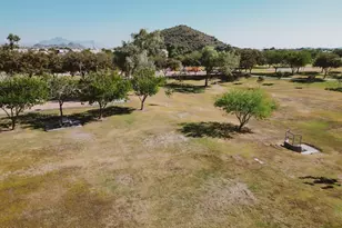 7006 E Jensen St, Mesa, AZ 85207 - Photo 43