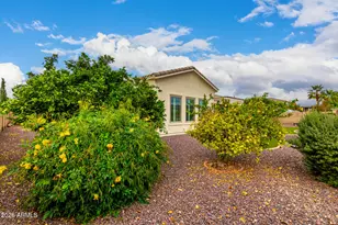 23269 S 204th St, Queen Creek, AZ 85142 - Photo 47