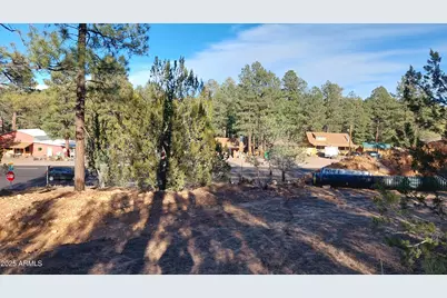 1915 Az-260 -- #178, Overgaard, AZ 85933 - Photo 11