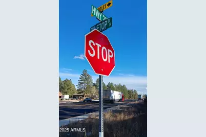 1915 Az-260 -- #178, Overgaard, AZ 85933 - Photo 7