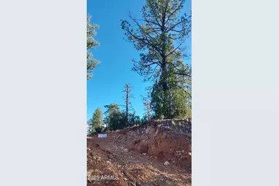 1915 Az-260 -- #178, Overgaard, AZ 85933 - Photo 3