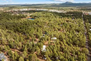 6066 Lower Ridge Dr, Lakeside, AZ 85929 - Photo 41