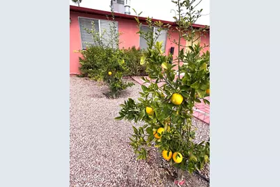 310 E 1st Avenue, Ajo, AZ 85321 - Photo 19