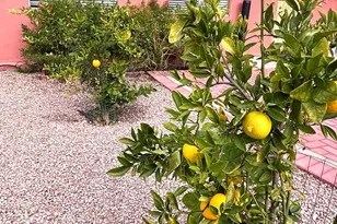 310 E 1st Ave, Ajo, AZ 85321 - Photo 19