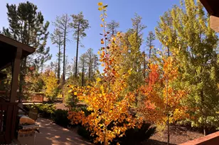 5410 N St Andrews Dr, Lakeside, AZ 85929 - Photo 29