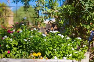 18635 W Miami St, Goodyear, AZ 85338 - Photo 55