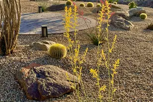 2049 E Gaffney Rd, New River, AZ 85087 - Photo 69