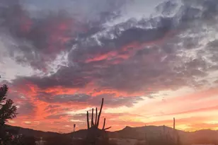 44423 N 16th St, New River, AZ 85087 - Photo 61