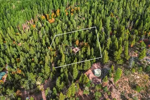 195 N Juniper Way, Payson, AZ 85541 - Photo 1