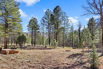 900 Eagle View Drive, Happy Jack, AZ 86024 - Photo 5