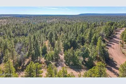 900 Eagle View Drive, Happy Jack, AZ 86024 - Photo 47