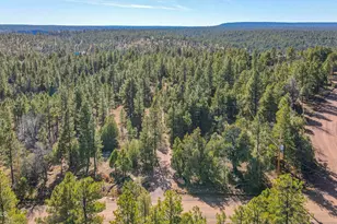 900 Eagle View Dr, Happy Jack, AZ 86024 - Photo 47