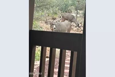 212 Creekside Circle #C, Prescott, AZ 86303 - Photo 33