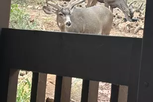 212 Creekside Cir, Prescott, AZ 86303 - Photo 33