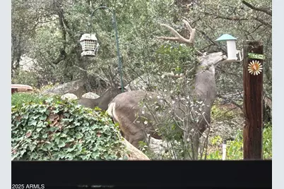 212 Creekside Circle #C, Prescott, AZ 86303 - Photo 31