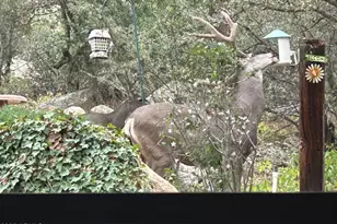 212 Creekside Cir, Prescott, AZ 86303 - Photo 31